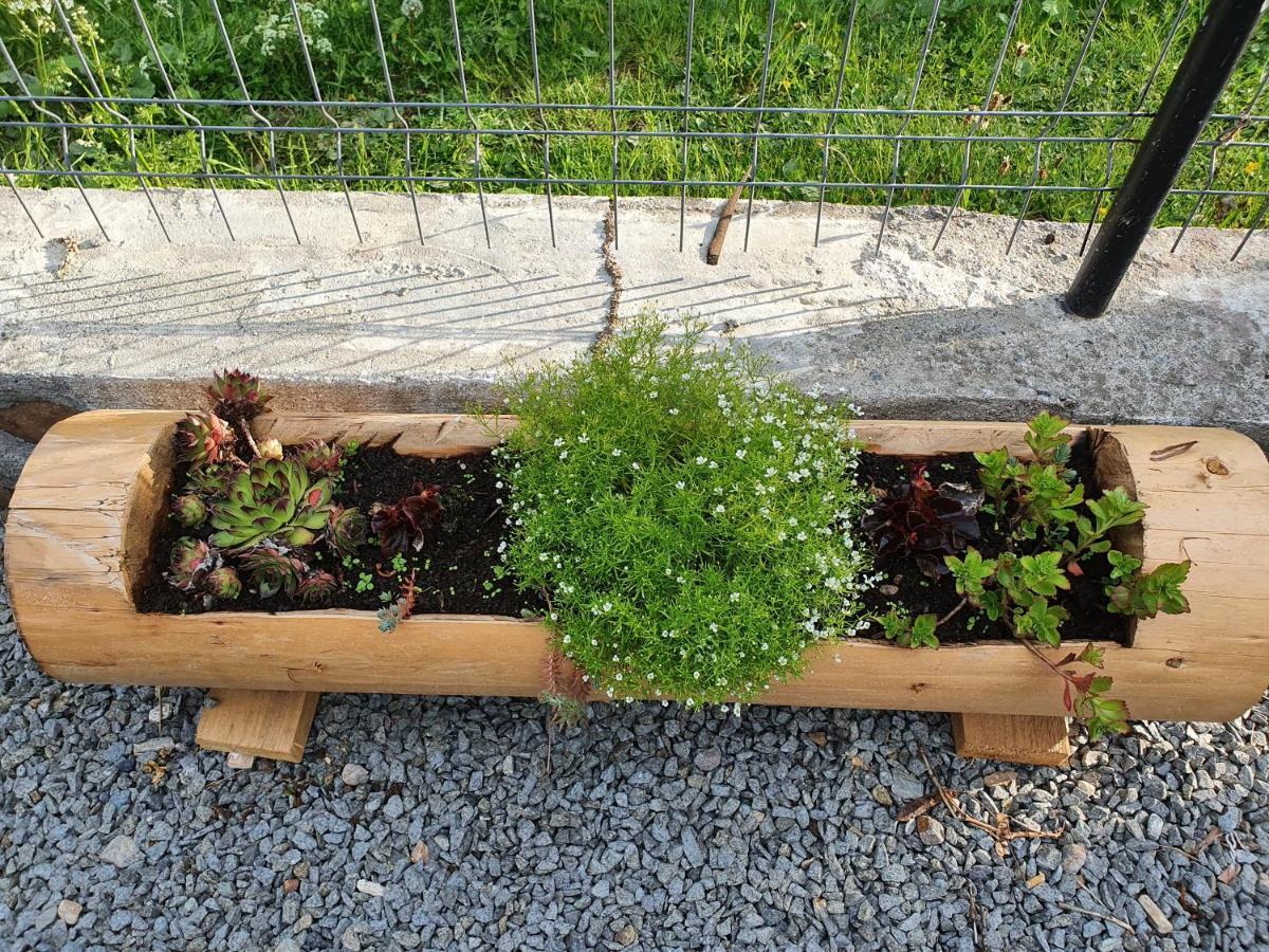 Pensiune Agroturistica Casa Alex بابا المظهر الخارجي الصورة